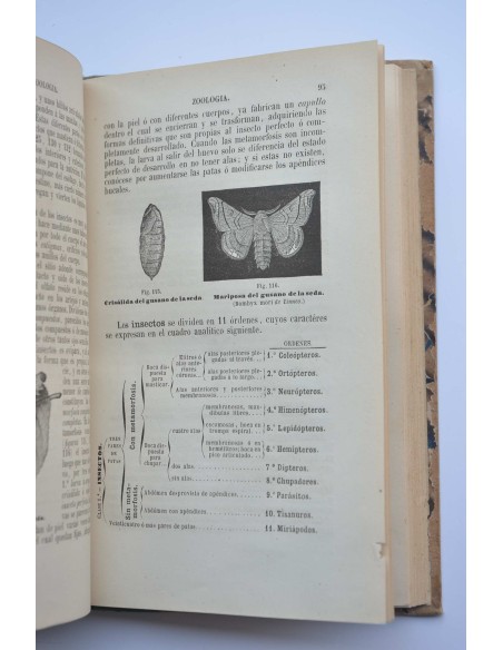 Programa razonado de un curso de historia natural. Obra de texto