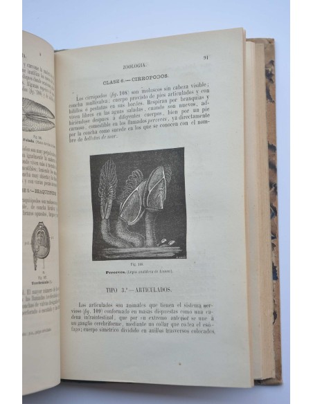 Programa razonado de un curso de historia natural. Obra de texto