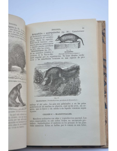 Programa razonado de un curso de historia natural. Obra de texto