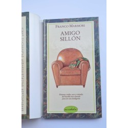 Amigo sillón 2