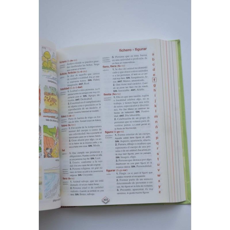 Diccionario básico de la lengua española