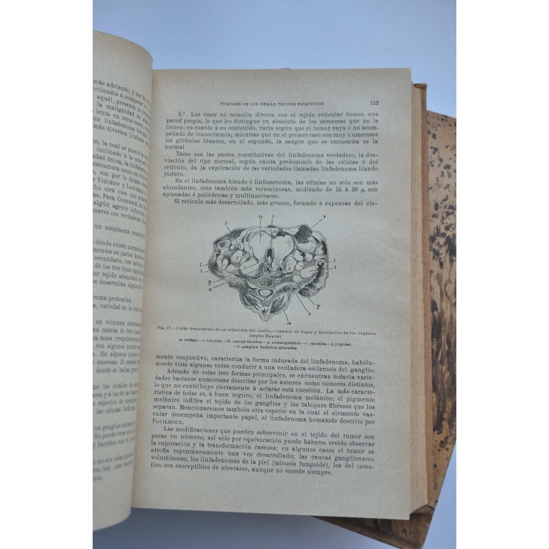 Tratado de patología externa