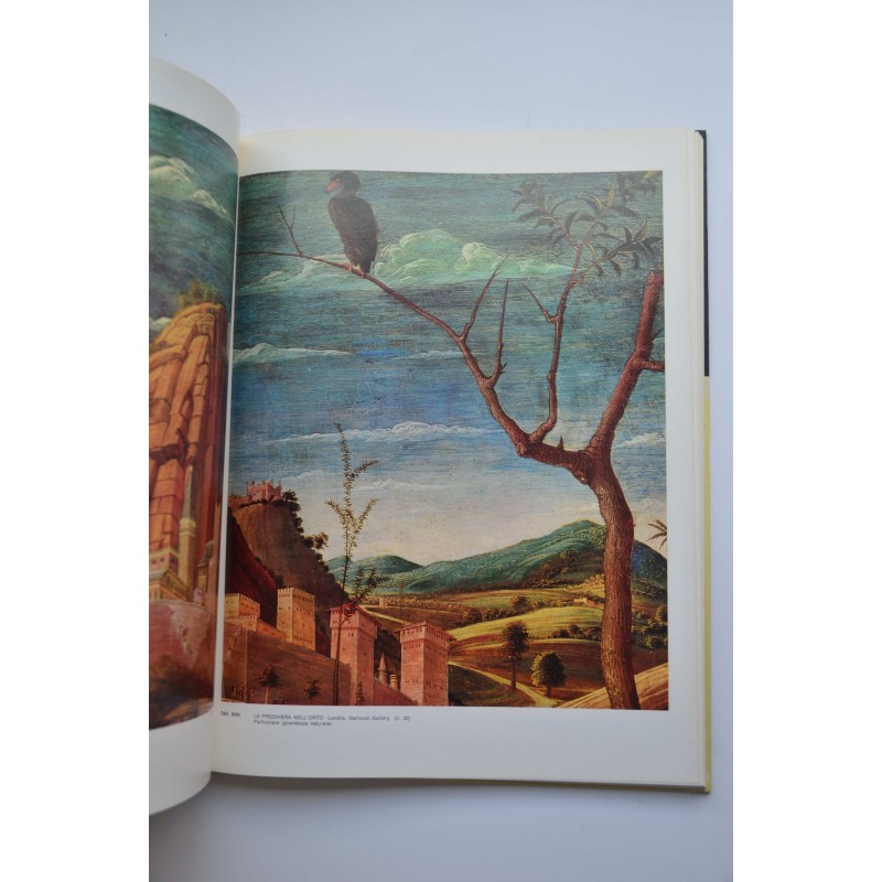 L'opera completa del Mantegna