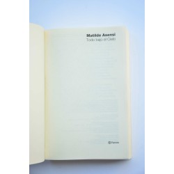 Todo bajo el cielo 2