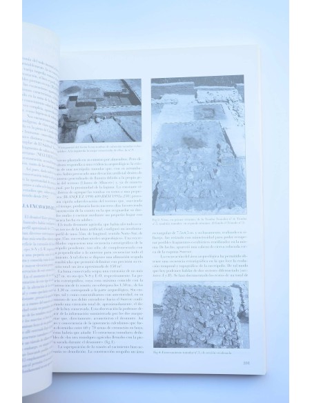 Verdolay : Revista del Museo de Murcia, nº 7 1995. Homenaje a la Dra. Ana María Muñoz Amilibia