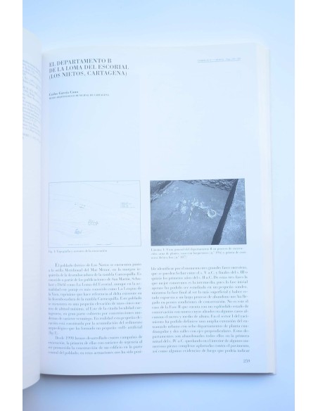 Verdolay : Revista del Museo de Murcia, nº 7 1995. Homenaje a la Dra. Ana María Muñoz Amilibia