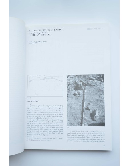 Verdolay : Revista del Museo de Murcia, nº 7 1995. Homenaje a la Dra. Ana María Muñoz Amilibia