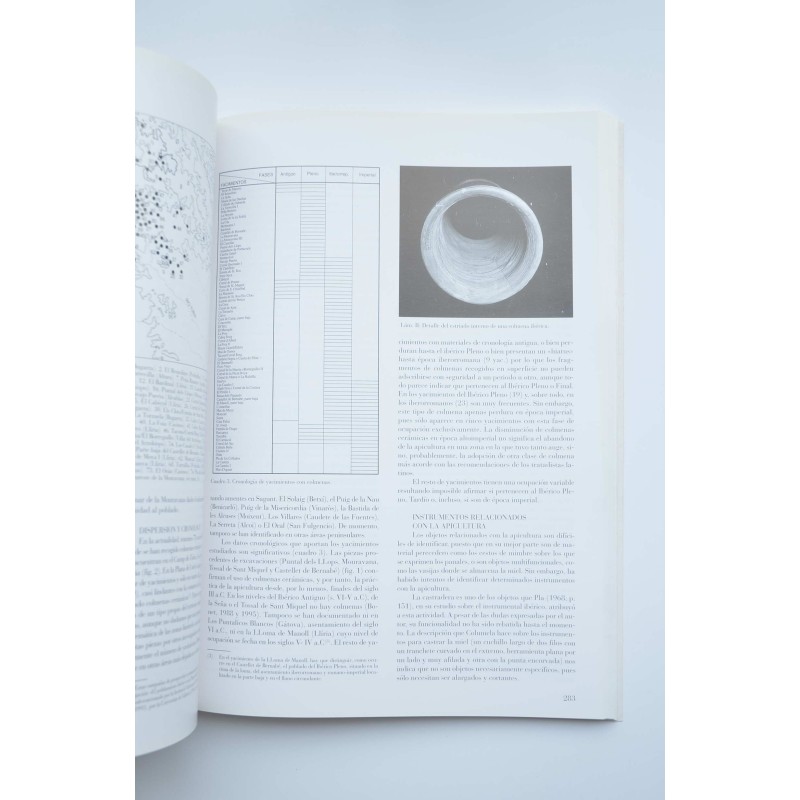 Verdolay : Revista del Museo de Murcia, nº 7...