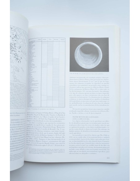 Verdolay : Revista del Museo de Murcia, nº 7 1995. Homenaje a la Dra. Ana María Muñoz Amilibia