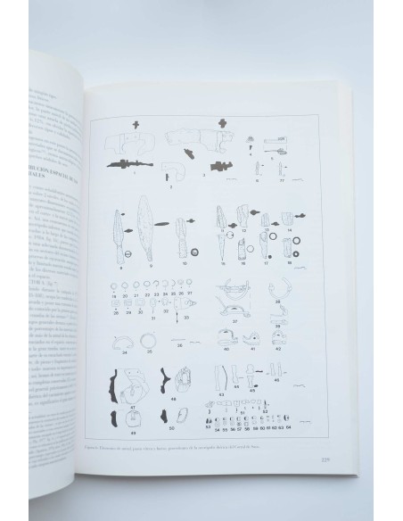 Verdolay : Revista del Museo de Murcia, nº 7 1995. Homenaje a la Dra. Ana María Muñoz Amilibia