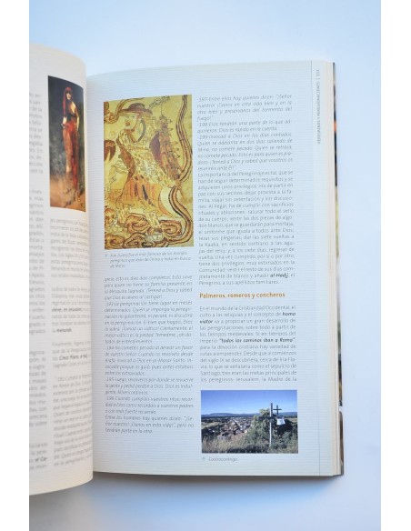 El peregrino en los Caminos de la Vera Cruz.Caravaca de la Cruz, jubileo 2010