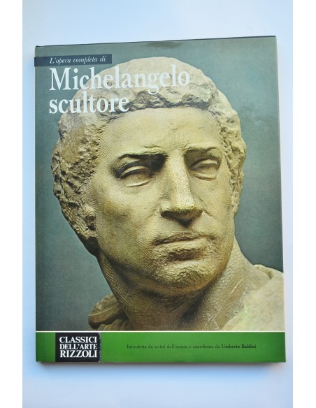 Michelangelo scultore