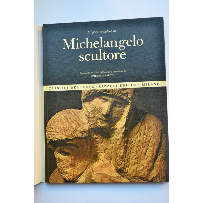 Michelangelo scultore