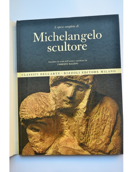 Michelangelo scultore