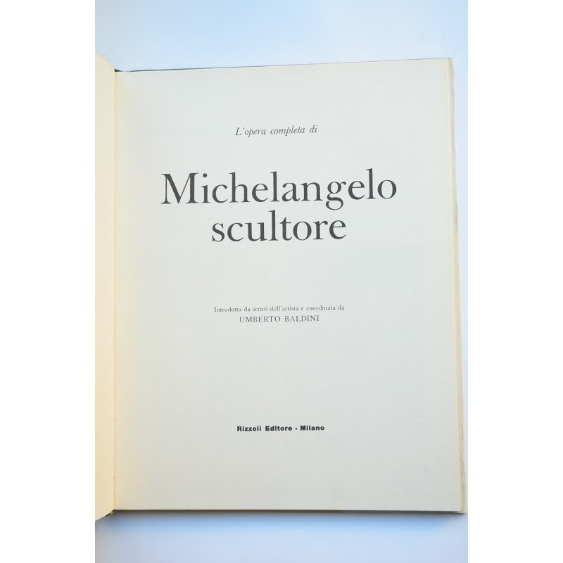 Michelangelo scultore