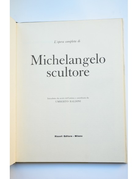 Michelangelo scultore