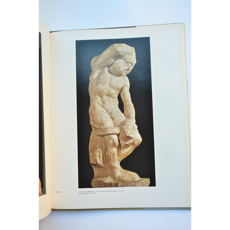 Michelangelo scultore