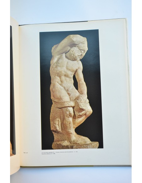 Michelangelo scultore