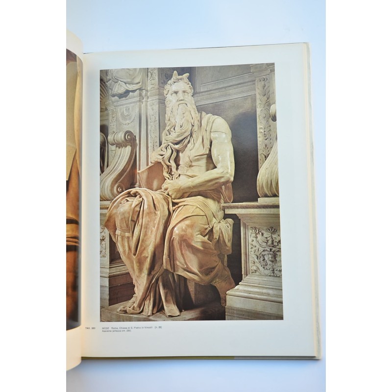 Michelangelo scultore