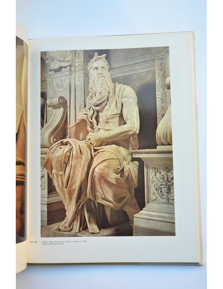 Michelangelo scultore
