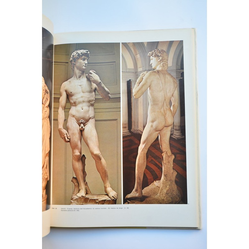 Michelangelo scultore