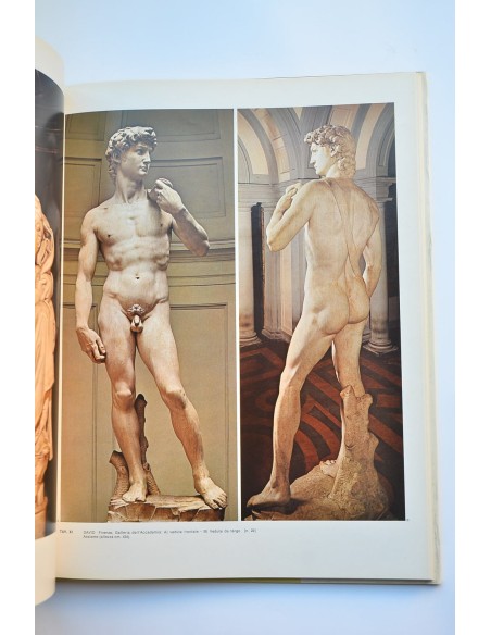 Michelangelo scultore