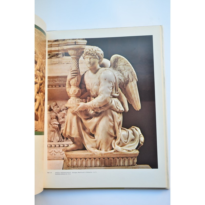 Michelangelo scultore
