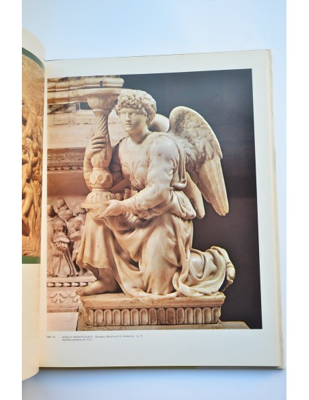 Michelangelo scultore
