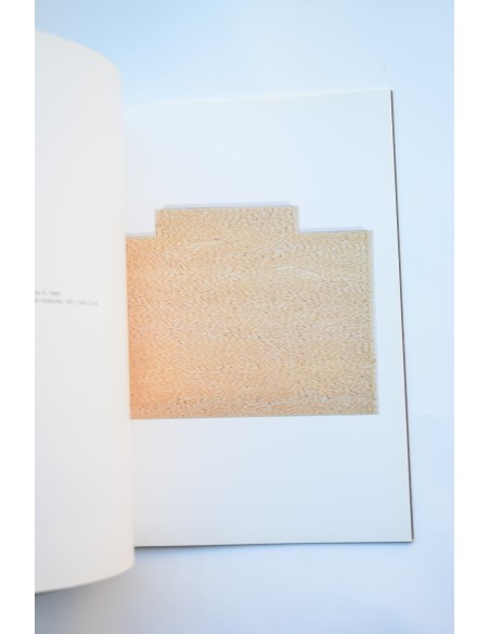 Fernando Prats : substàncies: Catálogo de exposiciones. Galería Joan Prats, 1999