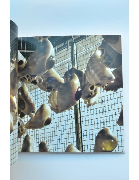 Lidó Rico. Secadero de pensamientos