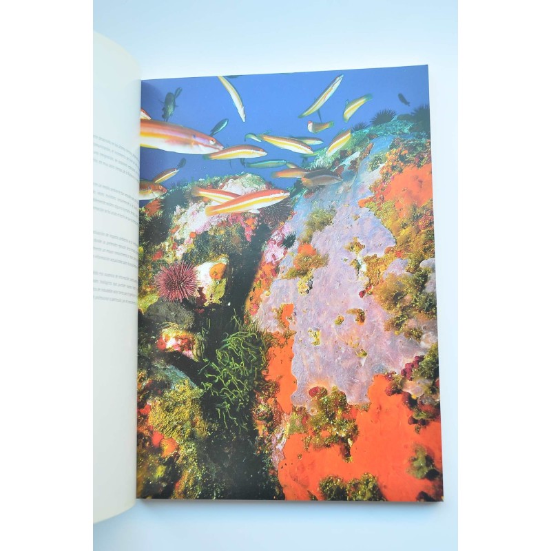 El litoral sumergido de la Región de Murcia :...