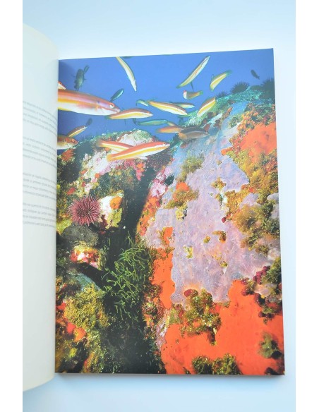 El litoral sumergido de la Región de Murcia : cartografía bionómica y valores ambientales