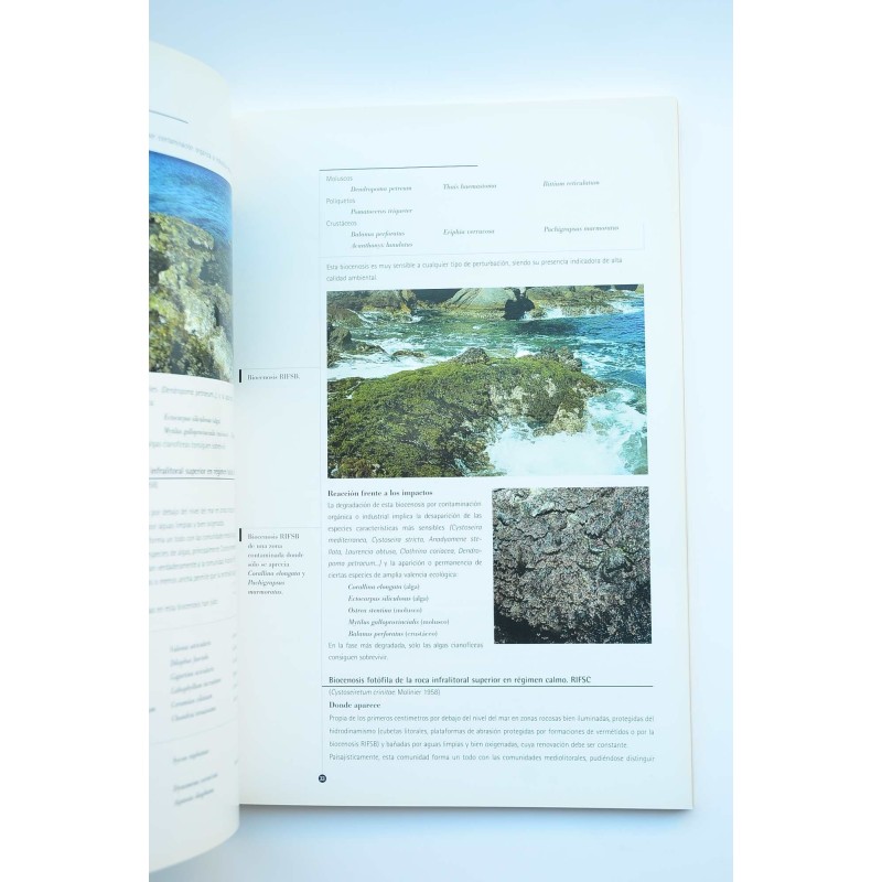 El litoral sumergido de la Región de Murcia :...