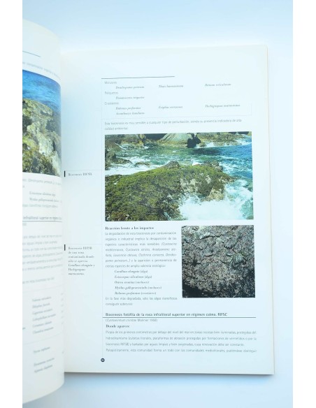 El litoral sumergido de la Región de Murcia : cartografía bionómica y valores ambientales