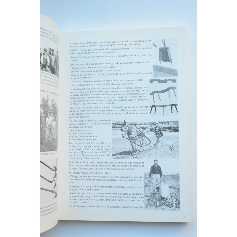 Vida cotidiana en la Alguazas tradicional