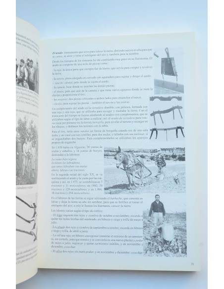 Vida cotidiana en la Alguazas tradicional