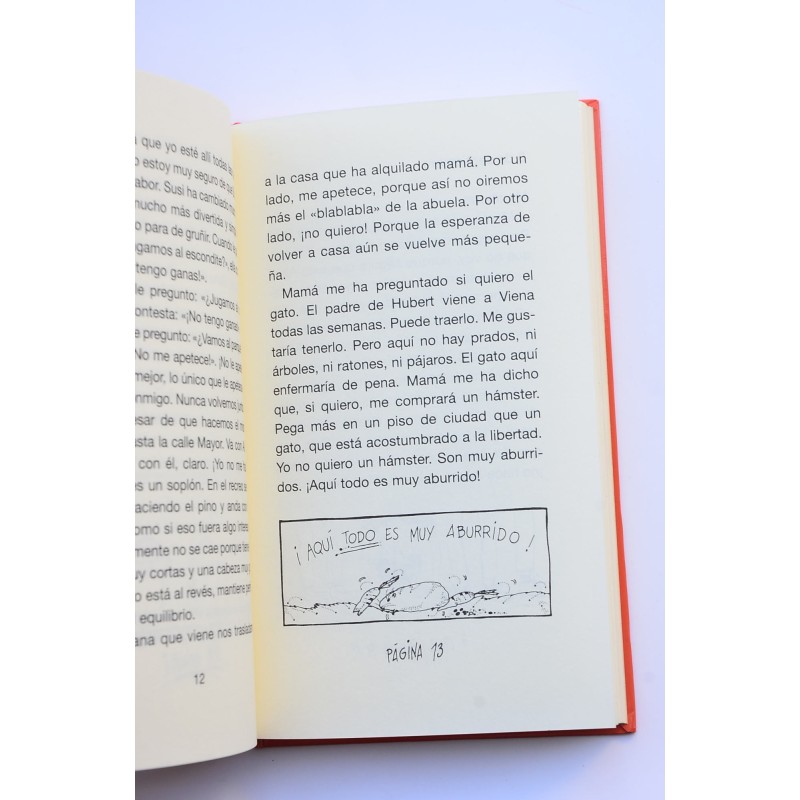 Diario secreto de Paul - Diario secreto de Susi
