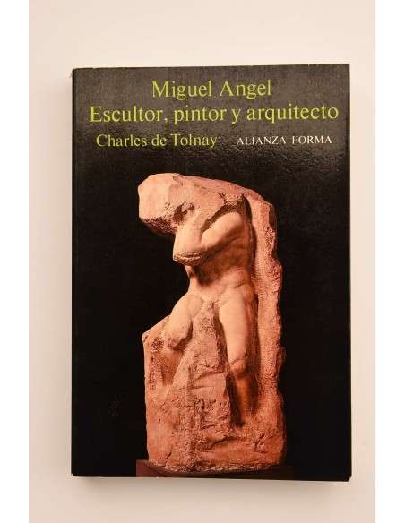 Miguel Angel. Escultor, pintor, arquitecto