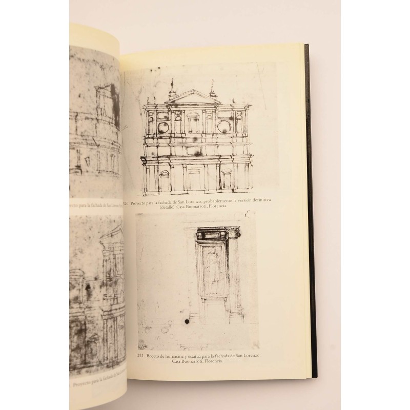 Miguel Angel. Escultor, pintor, arquitecto