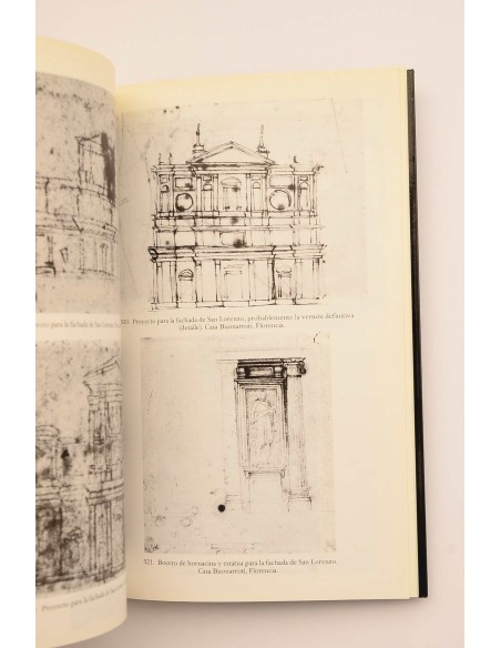 Miguel Angel. Escultor, pintor, arquitecto