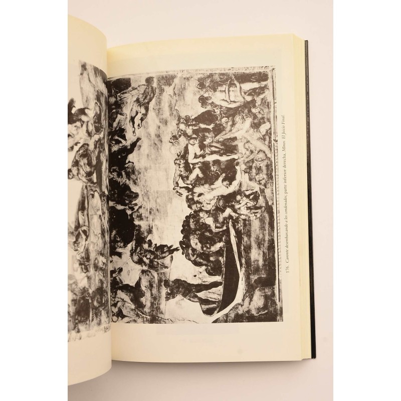 Miguel Angel. Escultor, pintor, arquitecto