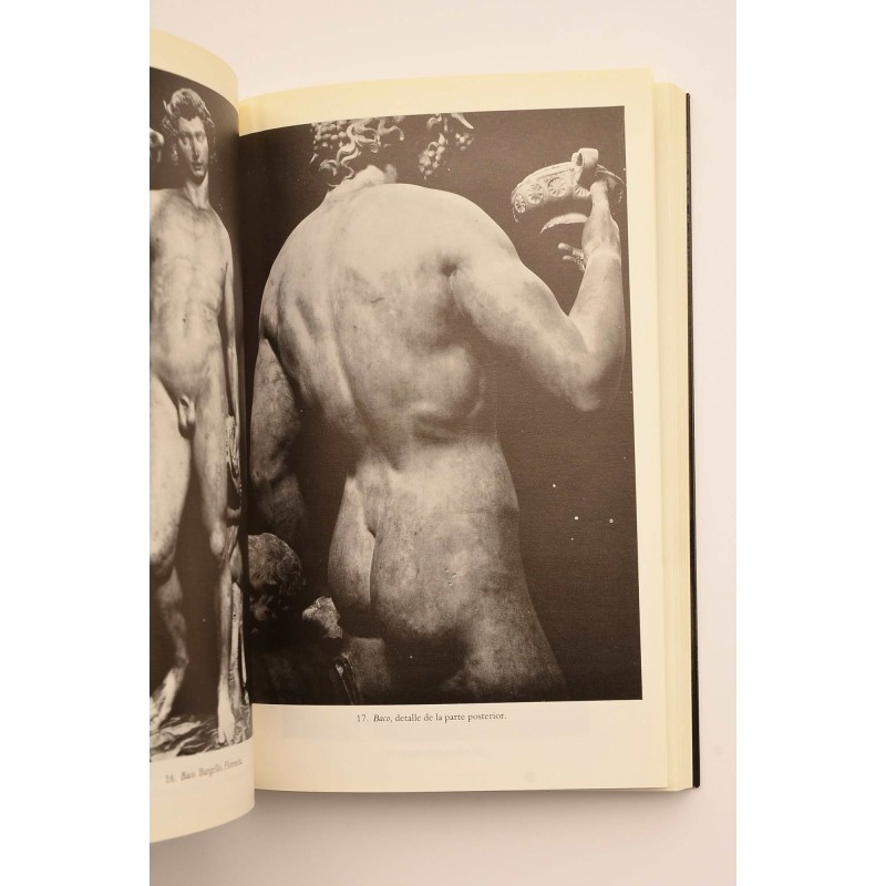 Miguel Angel. Escultor, pintor, arquitecto