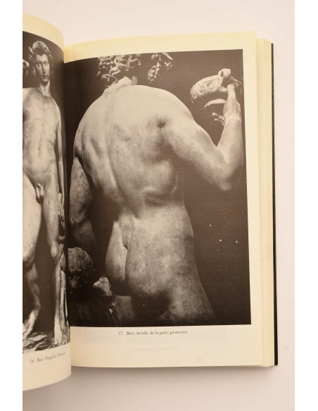 Miguel Angel. Escultor, pintor, arquitecto