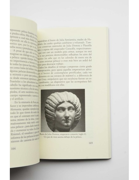 Historia descabellada de la peluca