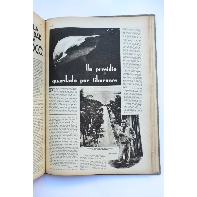 Algo : ilustración popular. -- nº 251 (7 jul....