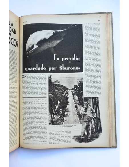 Algo : ilustración popular. -- nº 251 (7 jul. 1934) - nº 268 (29 diciembre 1934)