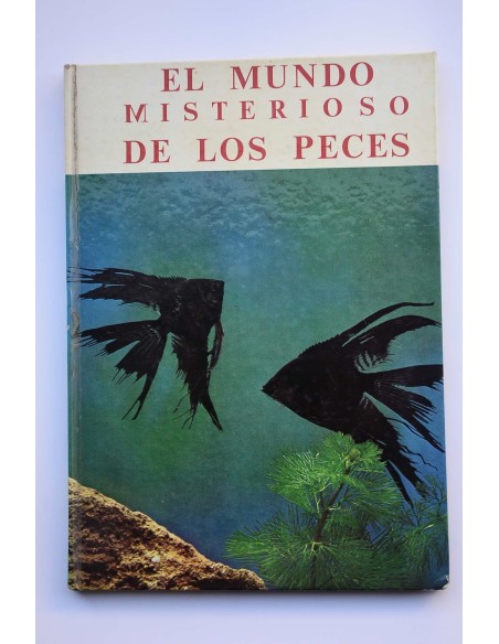 El mundo misterioso de los peces