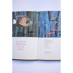 El mundo misterioso de los peces 2