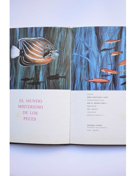 El mundo misterioso de los peces
