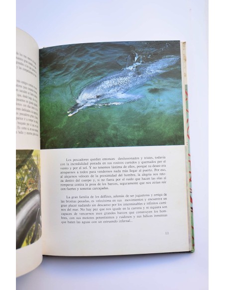 El mundo misterioso de los peces